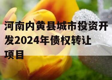 河南内黄县城市投资开发2024年债权转让项目