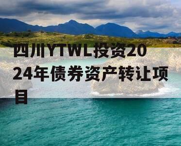 四川YTWL投资2024年债券资产转让项目