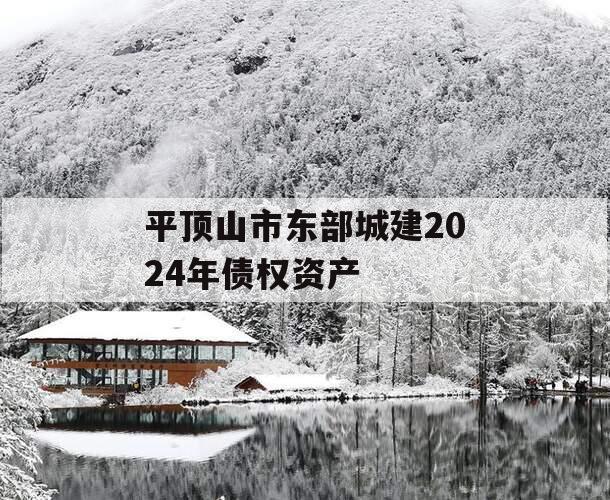 平顶山市东部城建2024年债权资产