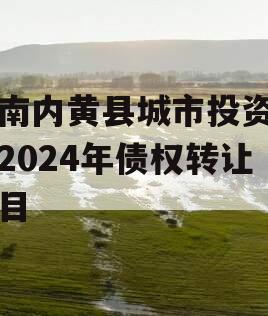 河南内黄县城市投资开发2024年债权转让项目