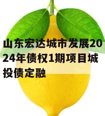 山东宏达城市发展2024年债权1期项目城投债定融