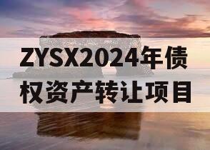 ZYSX2024年债权资产转让项目