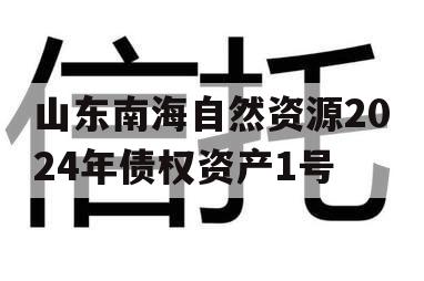 山东南海自然资源2024年债权资产1号