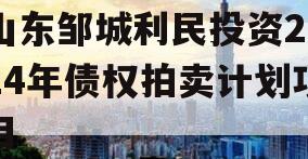 山东邹城利民投资2024年债权拍卖计划项目