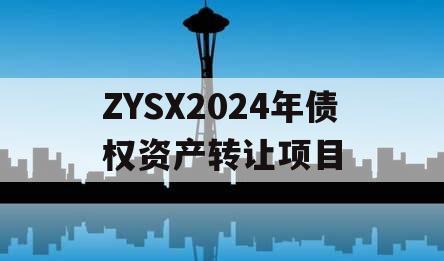 ZYSX2024年债权资产转让项目