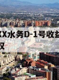 XX水务D-1号收益权