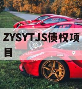 ZYSYTJS债权项目