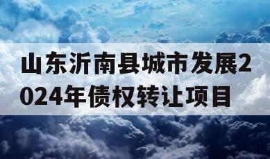 山东沂南县城市发展2024年债权转让项目