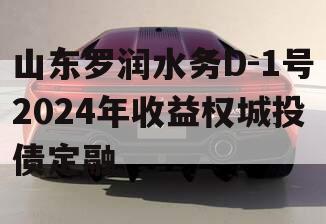 山东罗润水务D-1号2024年收益权城投债定融