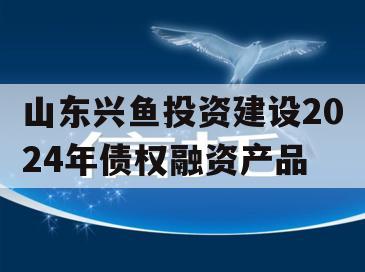 山东兴鱼投资建设2024年债权融资产品