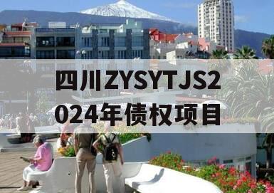 四川ZYSYTJS2024年债权项目