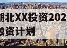 湖北XX投资2024融资计划