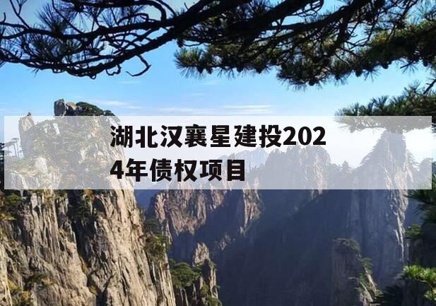 湖北汉襄星建投2024年债权项目