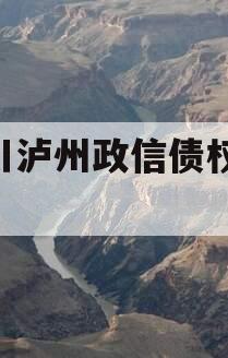 四川泸州政信债权2024