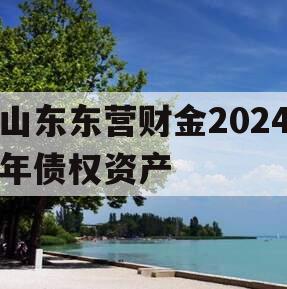 山东东营财金2024年债权资产