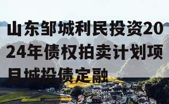 山东邹城利民投资2024年债权拍卖计划项目城投债定融