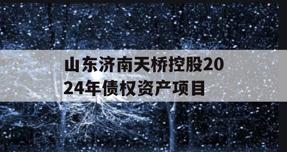 山东济南天桥控股2024年债权资产项目