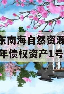 山东南海自然资源2024年债权资产1号