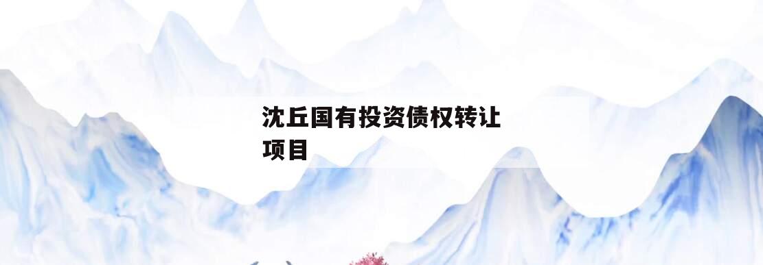 沈丘国有投资债权转让项目