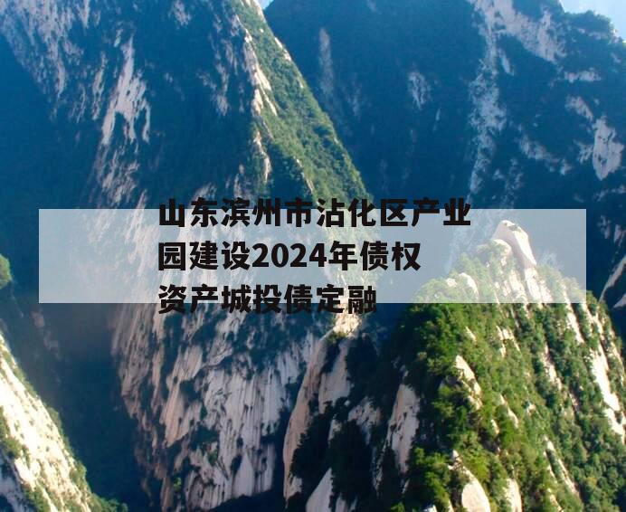 山东滨州市沾化区产业园建设2024年债权资产城投债定融