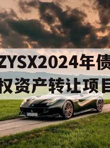 ZYSX2024年债权资产转让项目