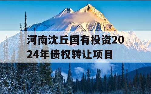 河南沈丘国有投资2024年债权转让项目