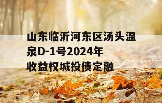 山东临沂河东区汤头温泉D-1号2024年收益权城投债定融