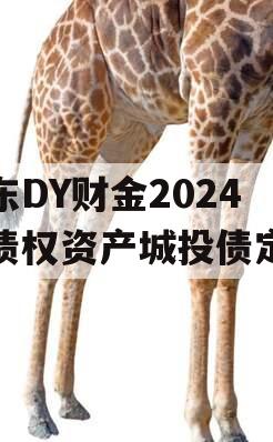 山东DY财金2024年债权资产城投债定融