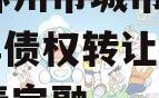 河南林州市城市投资2024年债权转让项目城投债定融