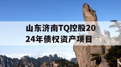 山东济南TQ控股2024年债权资产项目