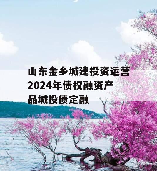 山东金乡城建投资运营2024年债权融资产品城投债定融