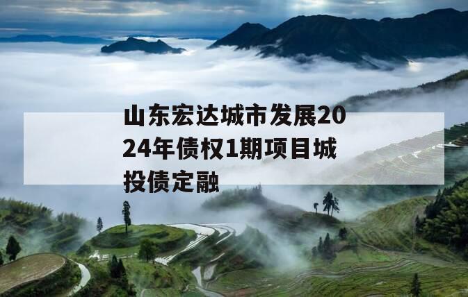 山东宏达城市发展2024年债权1期项目城投债定融