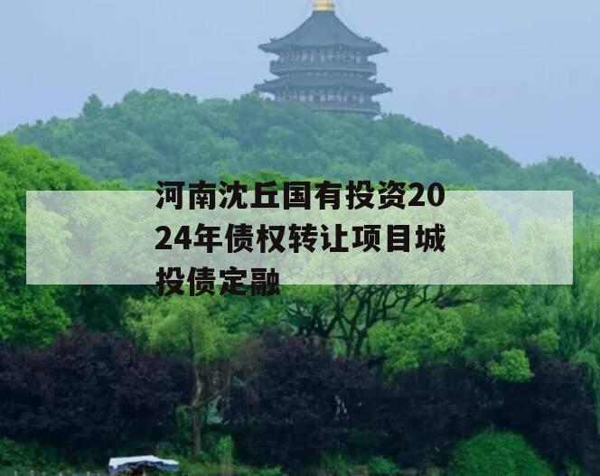 河南沈丘国有投资2024年债权转让项目城投债定融