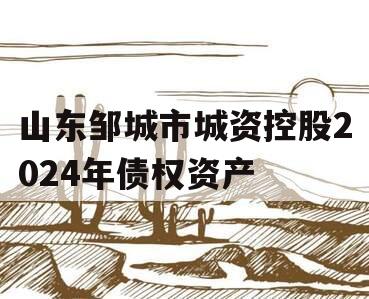 山东邹城市城资控股2024年债权资产