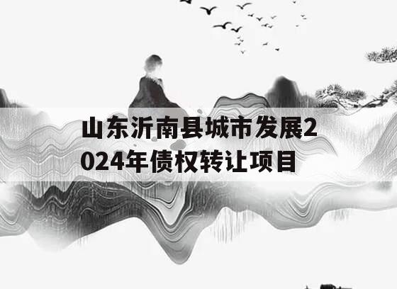 山东沂南县城市发展2024年债权转让项目