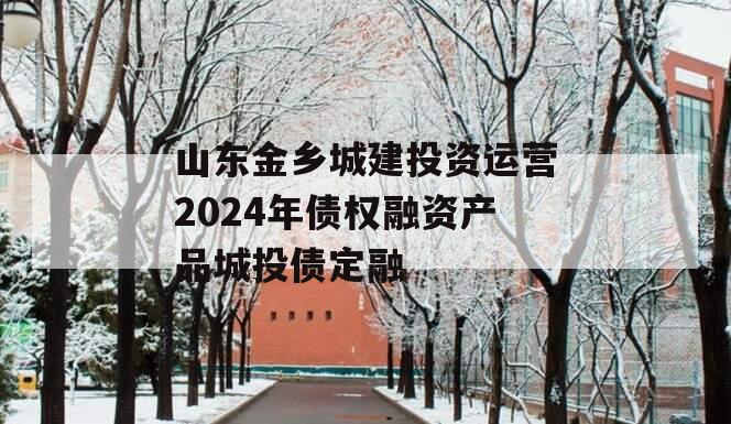 山东金乡城建投资运营2024年债权融资产品城投债定融