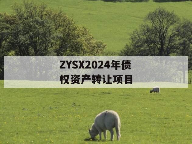 ZYSX2024年债权资产转让项目