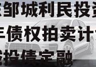 山东邹城利民投资2024年债权拍卖计划项目城投债定融