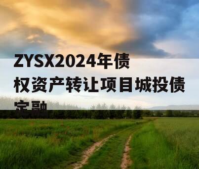 ZYSX2024年债权资产转让项目城投债定融