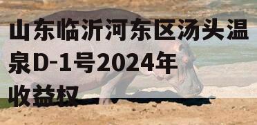 山东临沂河东区汤头温泉D-1号2024年收益权