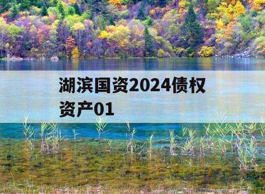 湖滨国资2024债权资产01