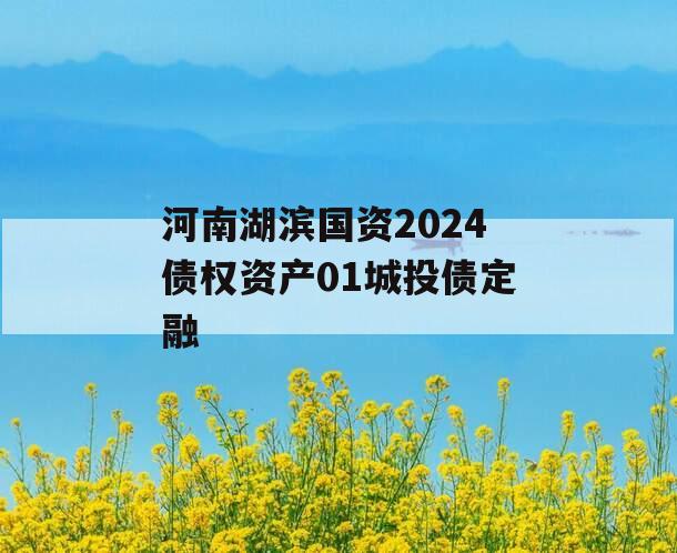 河南湖滨国资2024债权资产01城投债定融