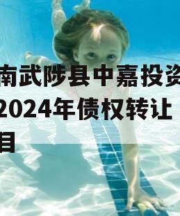 河南武陟县中嘉投资运营2024年债权转让项目