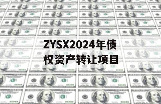 ZYSX2024年债权资产转让项目