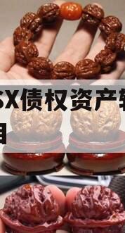 ZYSX债权资产转让项目