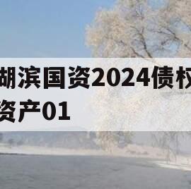 湖滨国资2024债权资产01