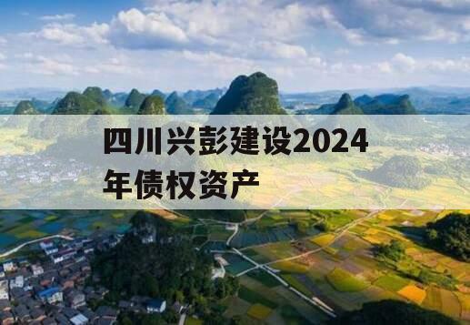 四川兴彭建设2024年债权资产