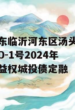 山东临沂河东区汤头温泉D-1号2024年收益权城投债定融