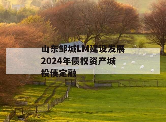 山东邹城LM建设发展2024年债权资产城投债定融