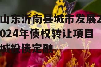 山东沂南县城市发展2024年债权转让项目城投债定融